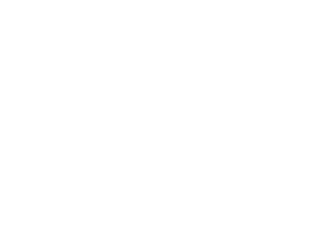 google-partner-logo-2BA563BAC5-seeklogo.com_